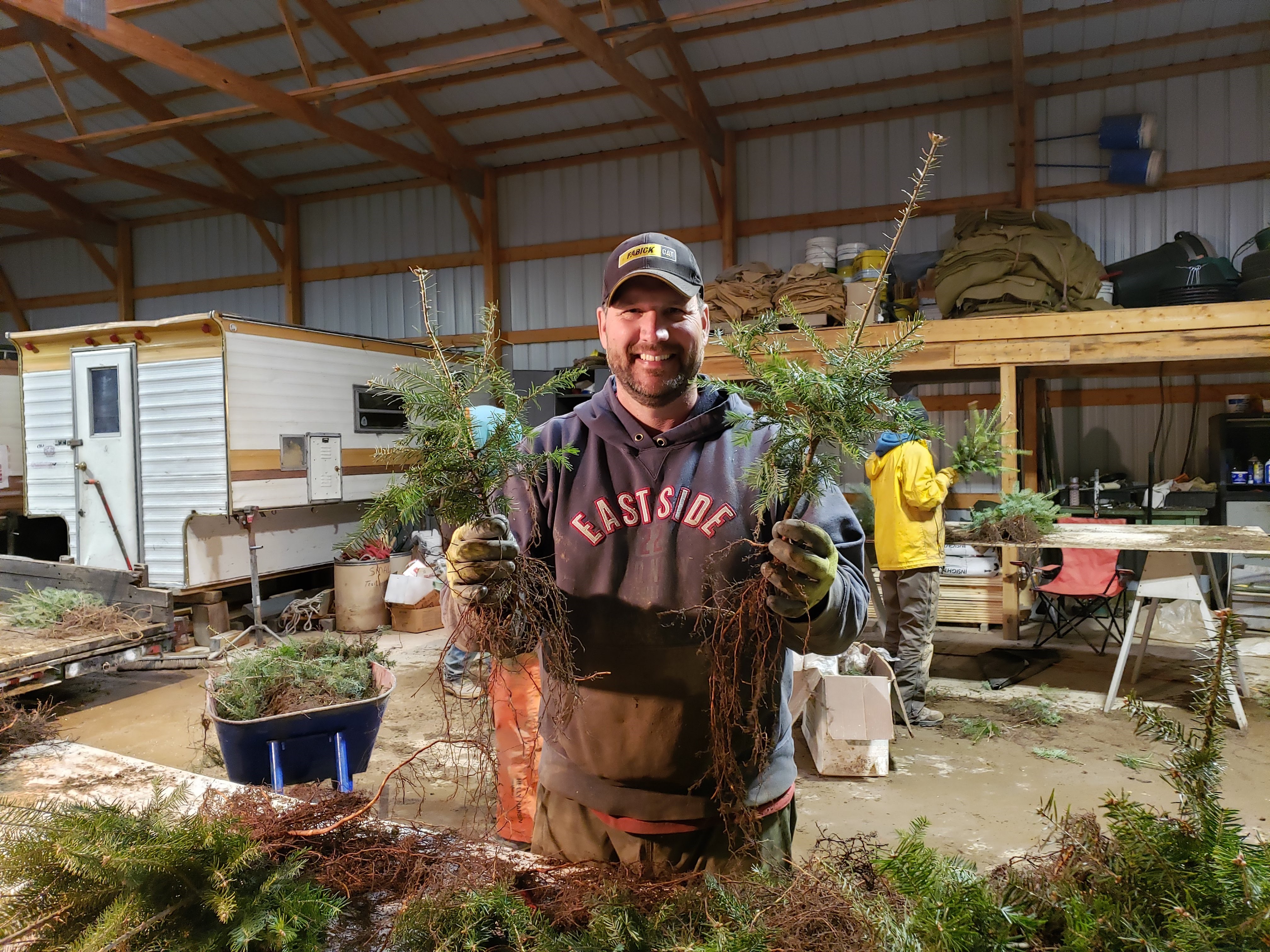 Christmas Tree Nursery | High Ground Tree Farm