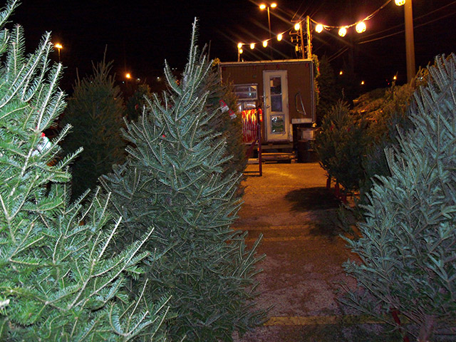 retail christmas trees high ground tree farm retail christmas trees high ground tree farm