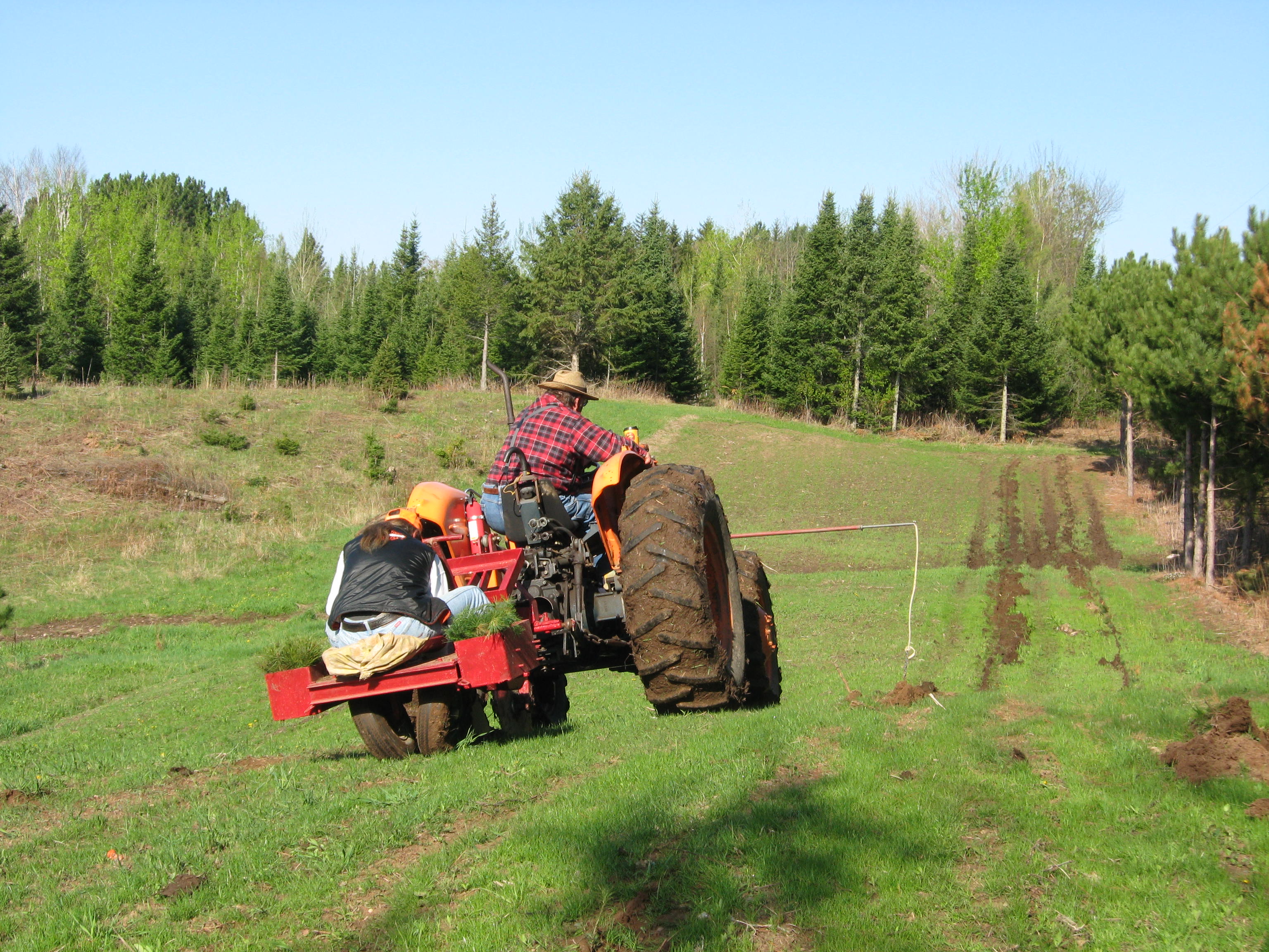 Custom Tree Planting, Pesticide Applications and Consulting | High ...